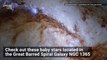 Hubble Captures Hundreds of Baby Stars in Stunning Stellar Nursery
