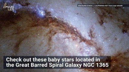 Hubble Captures Hundreds of Baby Stars in Stunning Stellar Nursery