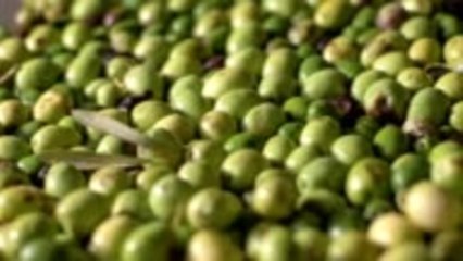 What to Look for When Buying Olive Oil