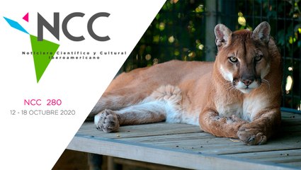 Noticiero Científico y Cultural Iberoamericano, emisión 280. 12 al 18 de Octubre 2020.