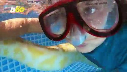 Snake or Swim! Watch This Little Girl Swim With Her 11-Foot Pet Snake!