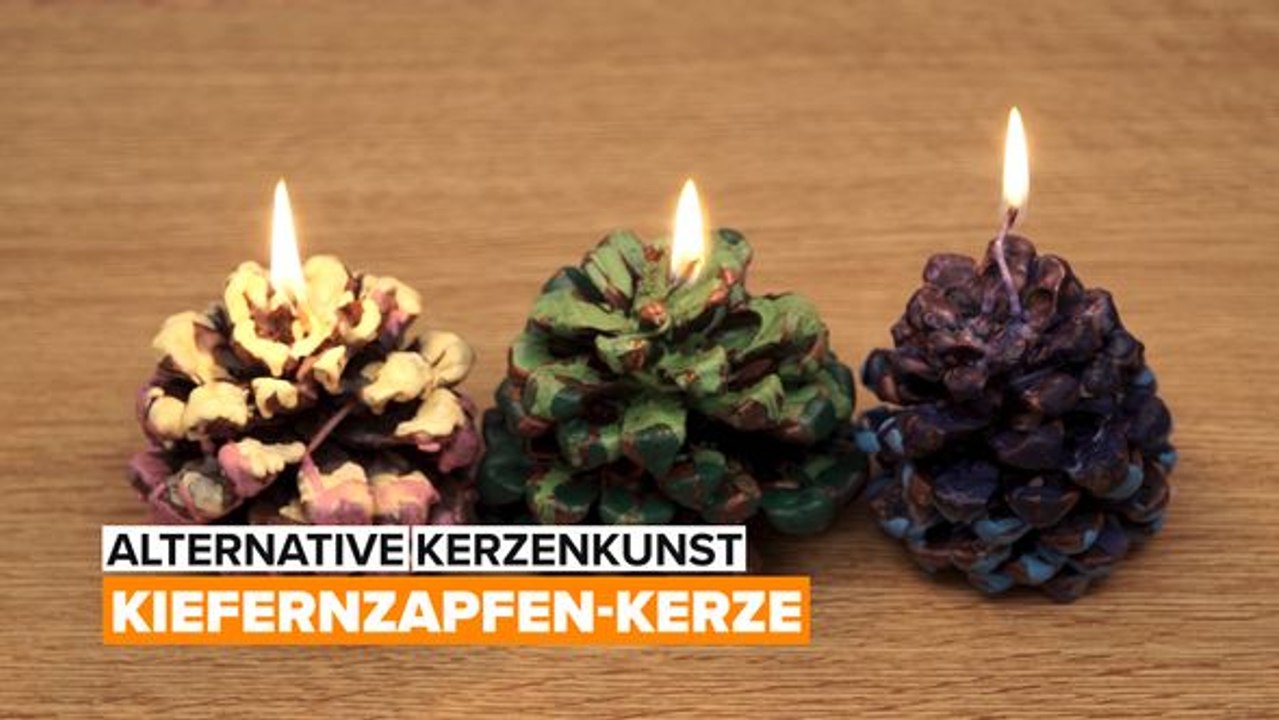 Alternative kerze kunst - kiefernzapfen-kerze