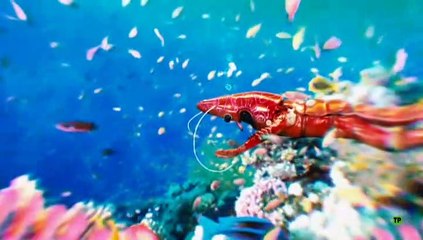 Promos 'Mask Singer' (Antena 3) / 3