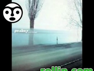 peshay - miles from home ( mo' wax records 1998 )
