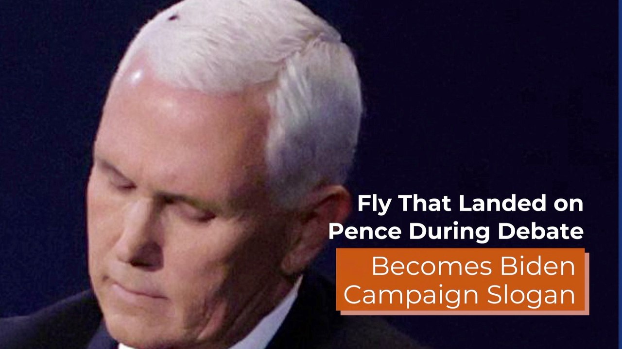 The Debate Fly