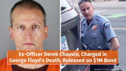 Derek Chauvin Released On 1 Million  Bond