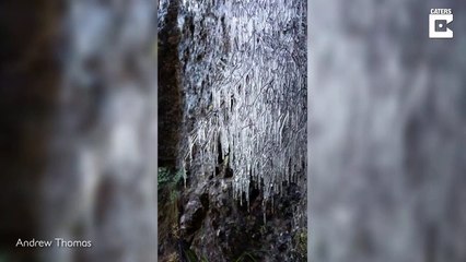 Ce qu'il découvre en rando en montagne est à couper le souffle