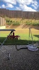 Ce serpent veut étendre le linge...