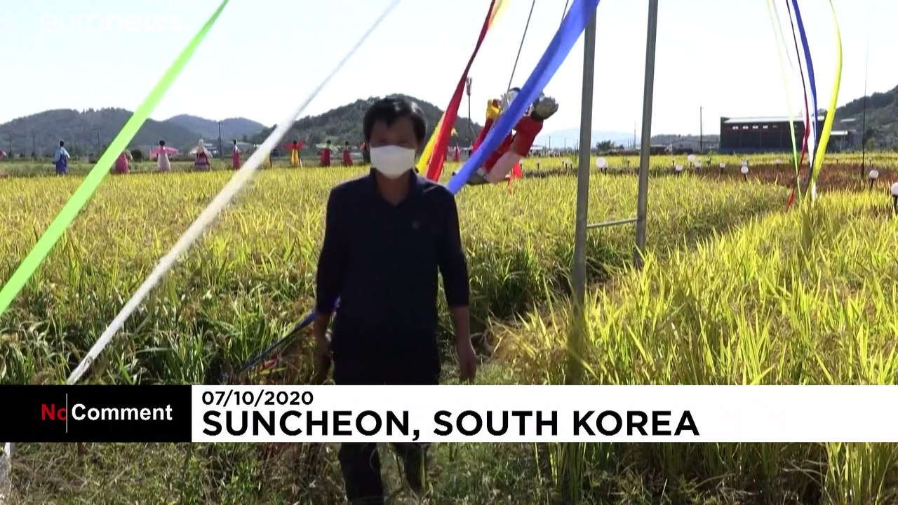 Südkorea: Bilder im Reisfeld sollen Mut machen in Corona-Zeiten