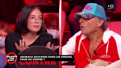 Arrêt des animaux sauvages dans les cirques itinérants : Le coup de gueule d'un dresseur de fauves