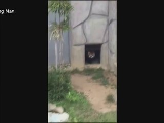 videos de CAIDAS GRACIOSO  para MORIRSE de risa 2020//videos of FUNNY FALLS to DIE laughing 2020