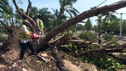 Huracán Delta aumenta a categoría 3 mientras se acerca a EEUU