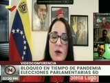 Videoconferencia: Bloqueo en Tiempo de Pandemia - Elecciones Parlamentarias 6D