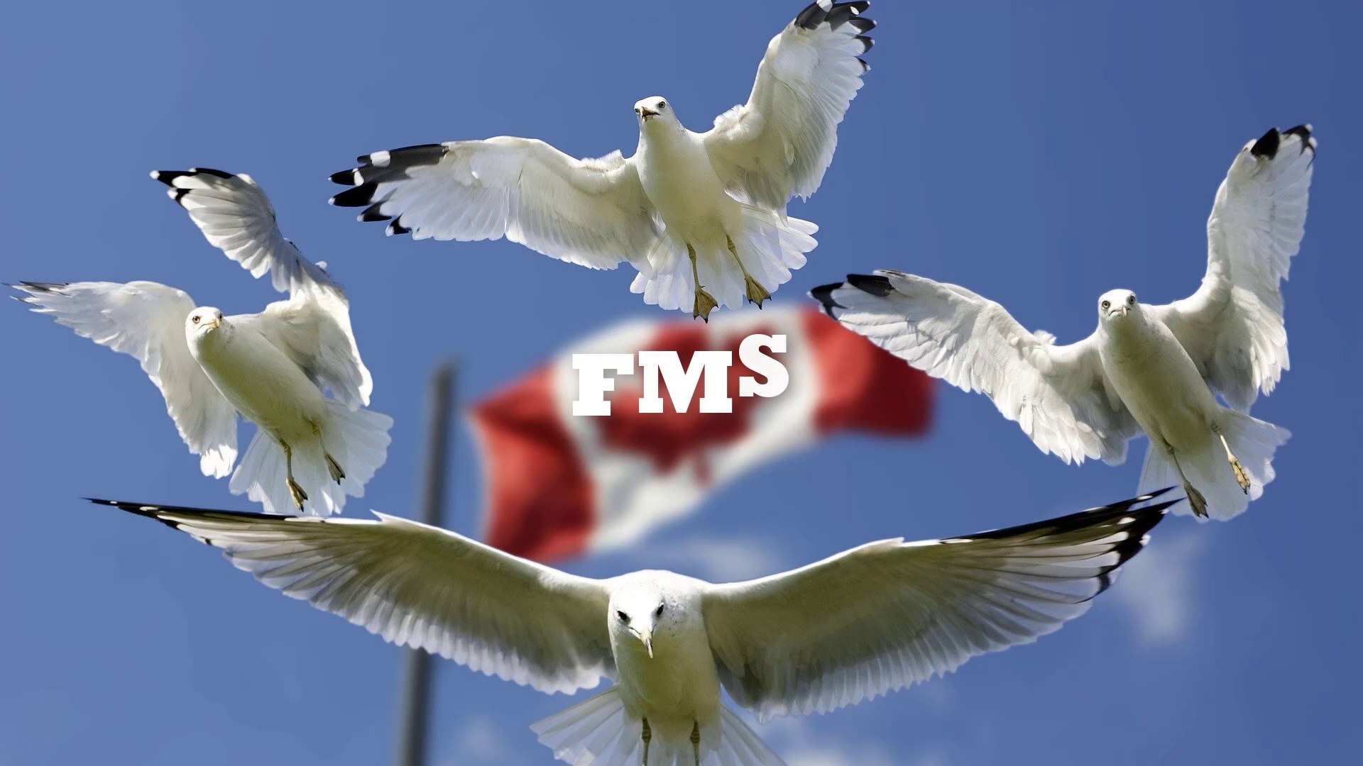 Vlogging music | no copyright music | Free music | 03