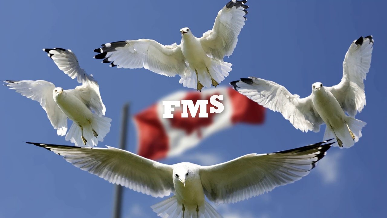 Vlogging music | no copyright music | Free music | 03