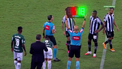 Botafogo x Palmeiras (Campeonato Brasileiro 2020 14ª rodada) 2º tempo