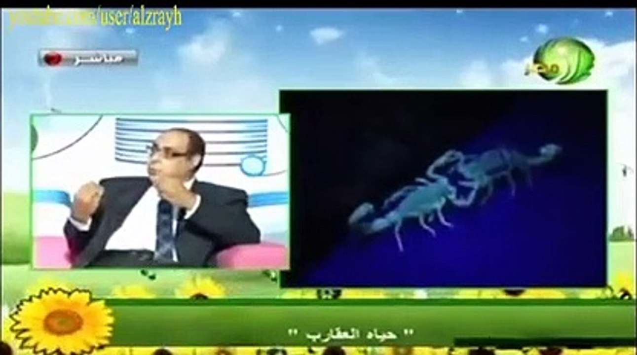 الطريقة العجيبة للتزاوج في العقارب ( 240 X 426 )