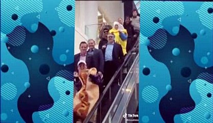 Hips Don't Lie - Shakira (Escalator Dance) _ TikTok Compilation