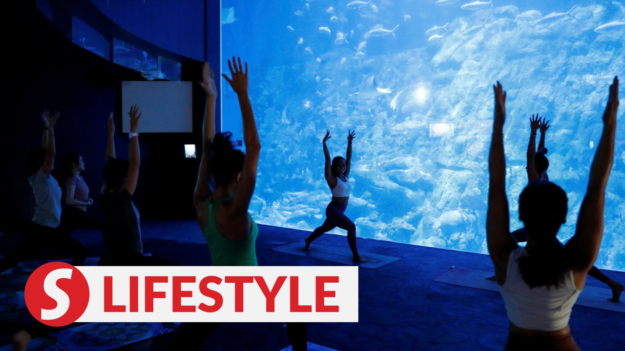 “Be one with the fish" - aquarium yoga among Hong Kong Ocean Park's staycation palette