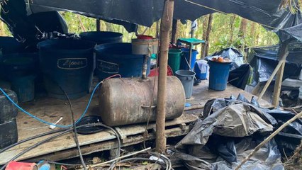 Descubren laboratorio que producía cinco toneladas de cocaína al mes en Nariño