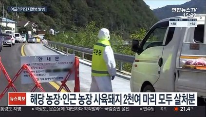 아프리카돼지열병 강원 화천서 발생…관련 돼지 살처분