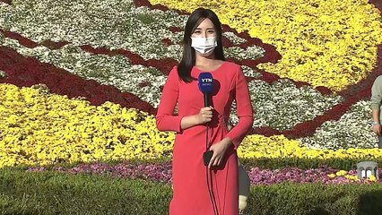 [날씨] 내일도 내륙 선선하고 쾌청...가을 향기 가득 임실 / YTN