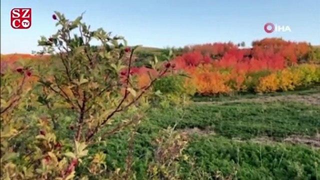 Nemrut Krater Gölünde sonbahar güzelliği