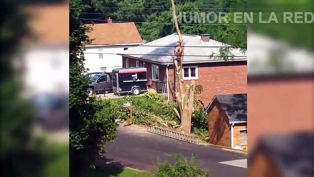 HUMOR EN LA RED 014... HUMOR ON THE NET 014 ... L'HUMOUR SUR LE NET 014 ...