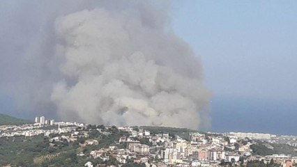 Hatay'da orman yangını kente sıçradı