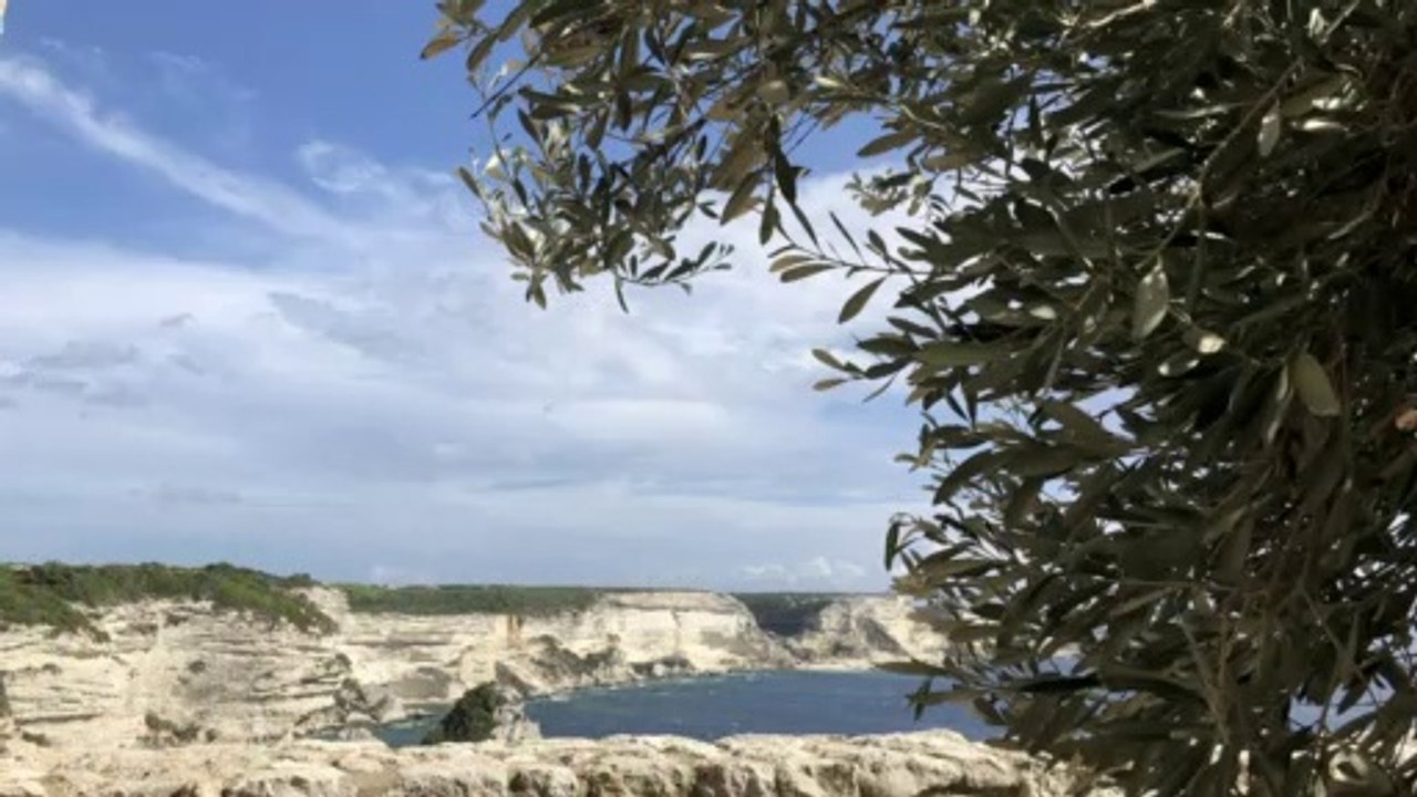 Road Trip Corse Porto Vecchio -Bonifacio