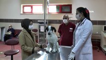 Atatürk Üniversitesi bünyesinde hizmet veren Hayvan Hastanesi hasta hayvanlar için umut oluyor