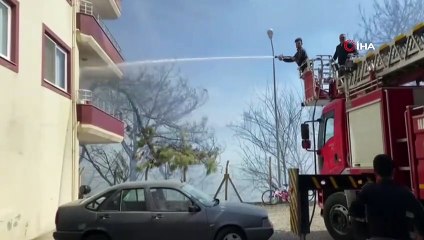 Orman yangını kente sıçradı