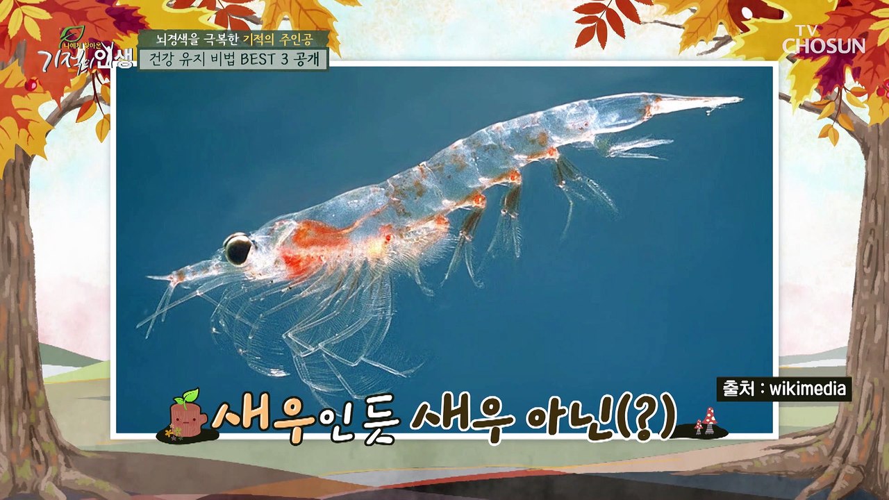 뇌경색 극복한 건강 유지 비법 BEST 3 #광고포함