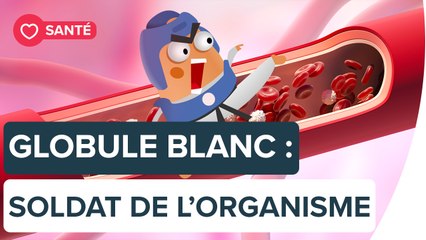 Que se passe-t-il quand les globules blancs s'emballent ? | Futura