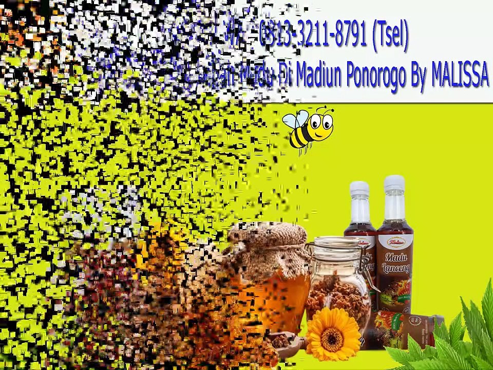 GROSIR !! WA : 0813-3211-8791 (Tsel)	Harga Madu Hutan Di Madiun Ponorogo By MALISSA,