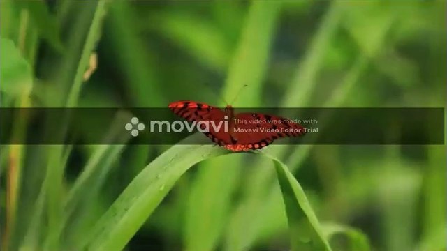 Top Romantic Music 2020 | Top Pop Joy Music Lyrics 2020