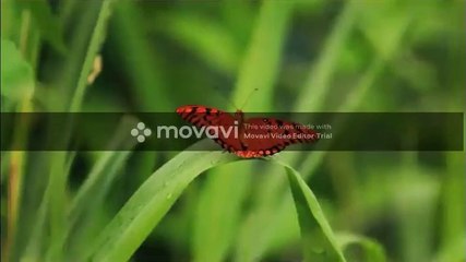 Top Romantic Music 2020 | Top Pop Joy Music Lyrics 2020