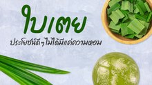 ประโยชน์ของใบเตย สมุนไพรกลิ่นหอมที่ไม่ได้มีดีแค่กลิ่น