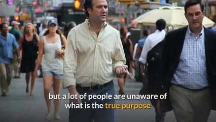 what is the purpose of a performance management system