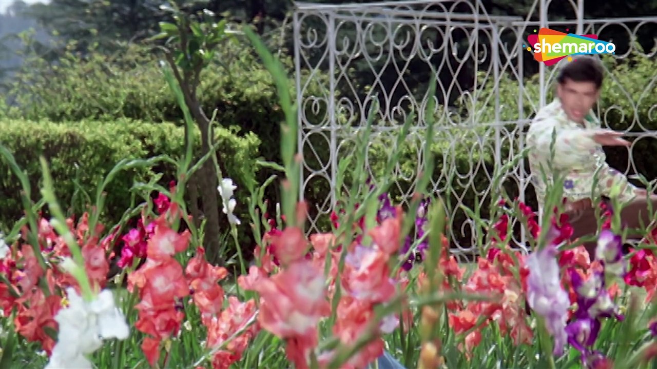 Phool Kali Chand Sitare / Krantiveer (1994) Song / Mamta Kulkarni & Atul Agnihotri / Udit Narayan / Romantic Song / 1080p.