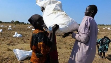 El Programa Mundial de Alimentos gana el Nobel de la Paz 2020
