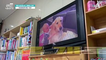 ＃특정 공포증 치료 방법! 그런데 오은영 박사가 발견한 또 다른 문제..!