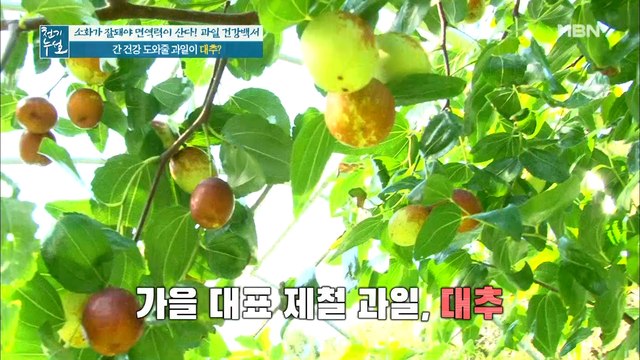 소화기 최전방, 간 건강 맞춤 과일은 바로 '대추'?!