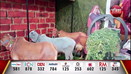 पशु टीकाकरण अभियान: खतरे में कार्मिकों का जीवन