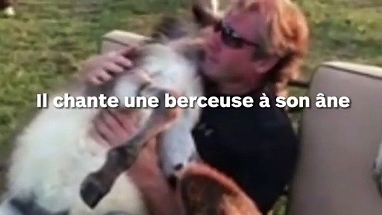 Son âne s'endort dans ses bras quand il lui chante une berceuse