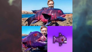 r/Terraria || Daily juicy memes || Funny Meme Photos Showing That Daily you laugh | Funny Memes