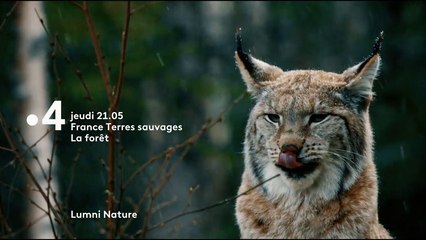 France Terres Sauvages - Bande annonce