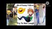 Very Funny Video | Haste haste pet mei dard | Awesome | Ek baar dekhlo zbrdst hai  | FULL FUNN | Dekho Dekho