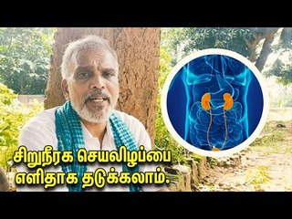 சிறுநீரக செயலிழப்பை தடுக்கும் செலவு குறைந்த மூலிகை இது!