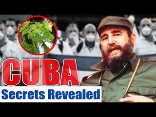 நோய் எதிர்ப்பு சக்திக்காக கியூபாவுக்கு கைகொடுத்த இந்தியா...இது பழைய வரலாறு!